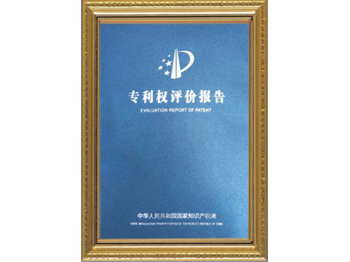 專利權(quán)評估報(bào)告